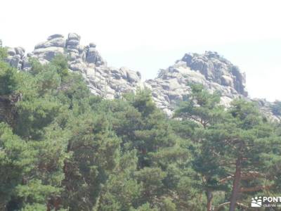 Montes de Peguerinos, cuna de la mariposa isabelina; caminar rapido madrid senderismo madrid mayores